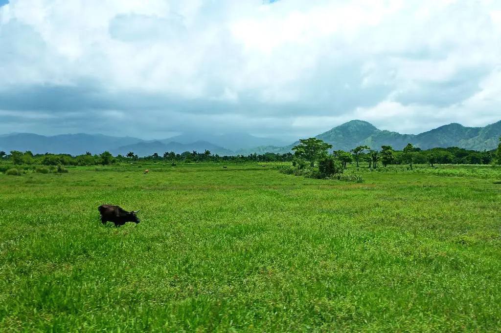 Highlands of Haiti's agricultural countryside